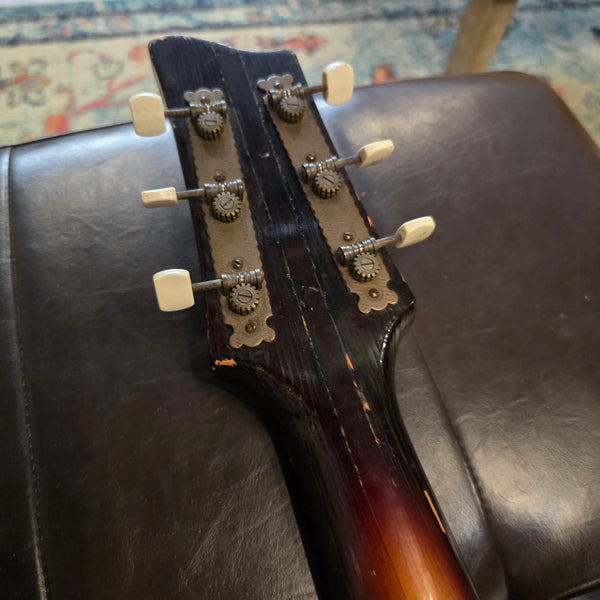1960 Framus Sorella Archtop Cello Guitar Model F5/59 - Sunburst