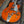 Load image into Gallery viewer, 2013 Gretsch G5420T Electromatic - Bigsby - Hollowbody - Single Cut - Orange Stain - w/Case
