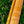 Load image into Gallery viewer, 2025 Fender Vintera II 60s Telecaster Thinline - Sunburst
