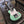 Load image into Gallery viewer, NOS Lyman Mini T-Style - Electric - Seafoam Green
