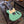 Load image into Gallery viewer, NOS Lyman LT-200 - T-Style - Electric - Seafoam Green
