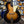 Load image into Gallery viewer, 1960 Framus Sorella Archtop Cello Guitar Model F5/59 - Sunburst
