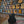 Load image into Gallery viewer, 2024 Warwick RockBass Alien Standard - 5-String - Natural Trasparant Satin - Acoustic Electric Bass -w/ Gig Bag

