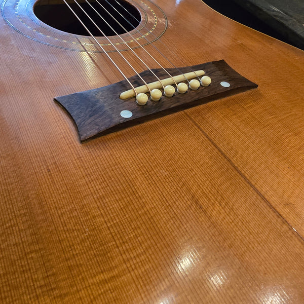 1969 Grammer / Ampeg G-30 - Mahogany Dreadnaught - Natural/Sunburst - w/Gig Bag