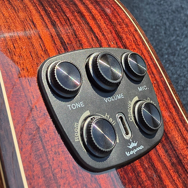 Kepma D1-120AAB Elite Series Dreadnaught Acoustic Electric w/AcoustiFex w/Case