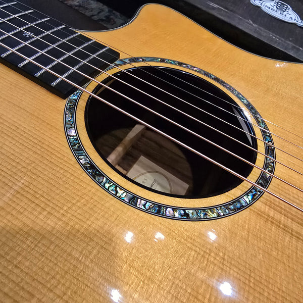 2009 Taylor GS Custom - Presentation - Cocobolo - w/ OHSC