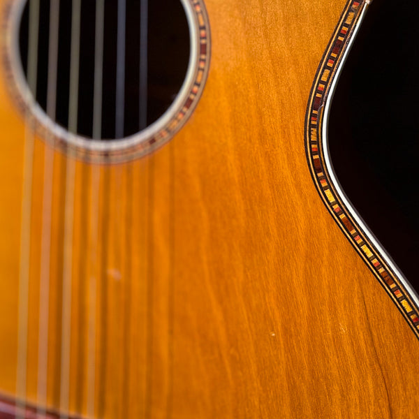 c.1928 Regal Parlor Guitar - X-Braced - Ready to Play! - w/ Case