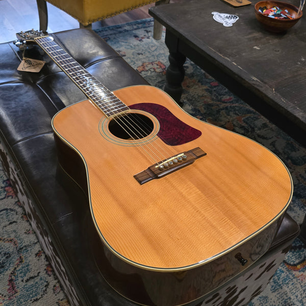 1995 Washburn D95LTD Limited Edition Dreadnaught w/Hard Case