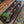 Load image into Gallery viewer, 1970 Teisco Del Ray ET-310N - Japan - Spectrum 3-Pickup - Floral Guard - Green Burst - Tremolo
