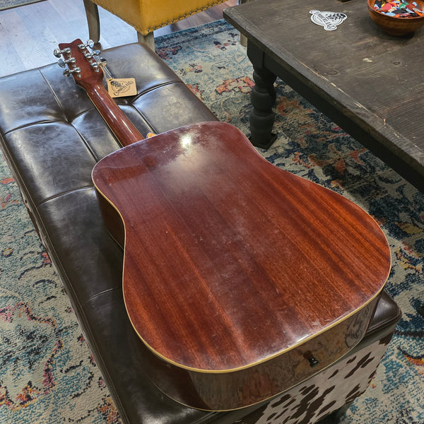 1995 Washburn D95LTD Limited Edition Dreadnaught w/Hard Case