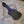 Load image into Gallery viewer, Vintage Black Chipboard Offset Electric Bass Guitar Case - 1960s? 1970s? Fits Fender and Ric
