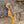 Load image into Gallery viewer, 1969 Fender Jazz Bass - Refin Sunburst - w/OHSC
