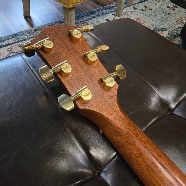 2009 Taylor GS Custom - Presentation - Cocobolo - w/ OHSC