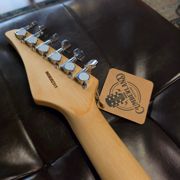 Lyman LT-150 T-Style - Electric - Natural - w/Gig Bag