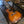 Load image into Gallery viewer, 1971 Framus Western 5/195 Acoustic Guitar - Sunburst
