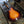 Load image into Gallery viewer, 1960 Framus Sorella Archtop Cello Guitar Model F5/59 - Sunburst
