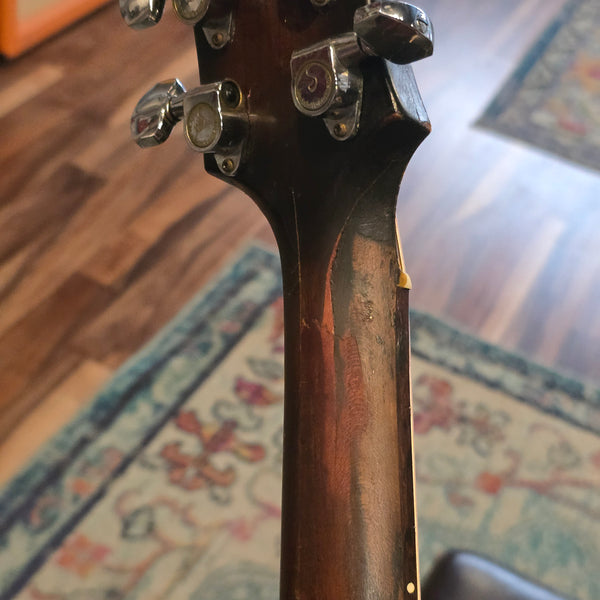 1969 Grammer / Ampeg G-30 - Mahogany Dreadnaught - Natural/Sunburst - w/Gig Bag