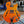 Load image into Gallery viewer, 2010 Epiphone Emperor Swingster - Limited Edition - Orange - w/OHSC - Cumberland Guitars
